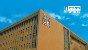 中軟卓越軟件開發(fā)學(xué)員成功入職it名企